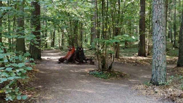 Часть 2 . Чудесный природный парк Тервете ! Прогулка по сказочному лесу удалась ! смотреть онлайн