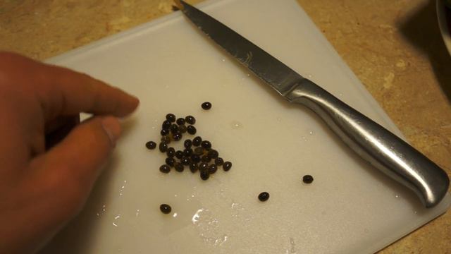 Caviar. Ikra. USA food. Immigration to America. смотреть онлайн