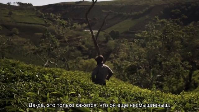 С чего начать воспитание щенка? смотреть онлайн