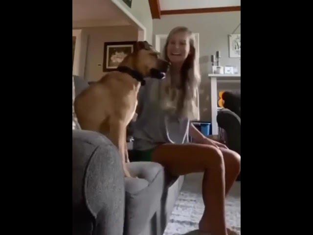 Болельщик смотреть онлайн