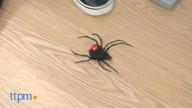 Robo Alive Crawling Spider from Zuru смотреть онлайн