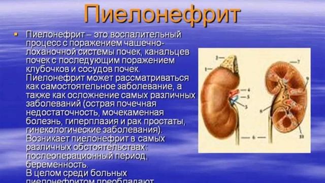 скачать презентацию на тему достопримечательности смотреть онлайн