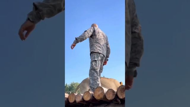 О дружбе с большими дикими Кошками. Спойлер: меня могли съесть, но не съели ? смотреть онлайн