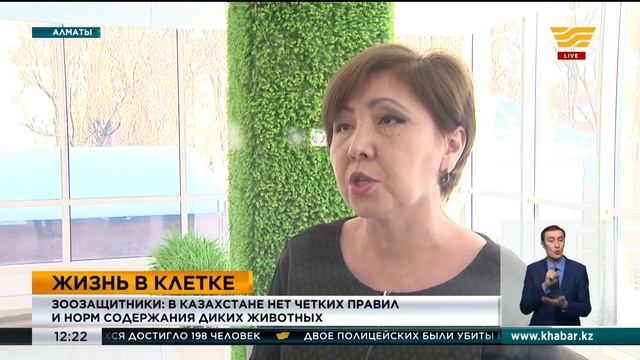 Контактные зоопарки в Алматы могут закрыть смотреть онлайн