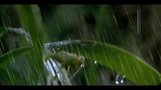 Дождик смотреть онлайн