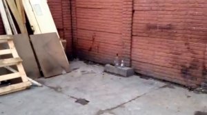 Тест пневматики Аникс А112 и Мр-651 корнет