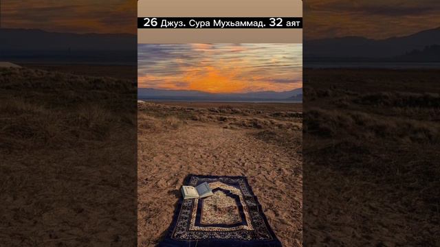 Шейх Яхъя. 26 Джуз. Сура Мухьаммад. Аят 32 смотреть онлайн