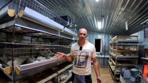 ?КАКОГО БРОЙЛЕРА ВЫБРАТЬ? / ВЕНГРИЯ  или ЧЕХИЯ - кто больше? / РОСС 308  - сколько весит в 45 дней