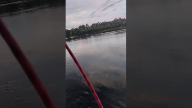 поисковый магнит на 350 кг.