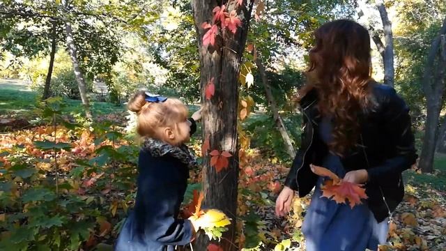 Краски осени!!! смотреть онлайн