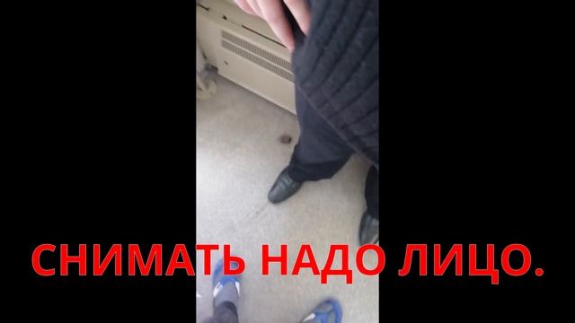 Проверка документов в поезде, от подписчика смотреть онлайн