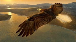 Ансамбль Сувар - Зов орла (лезгинская мелодия)