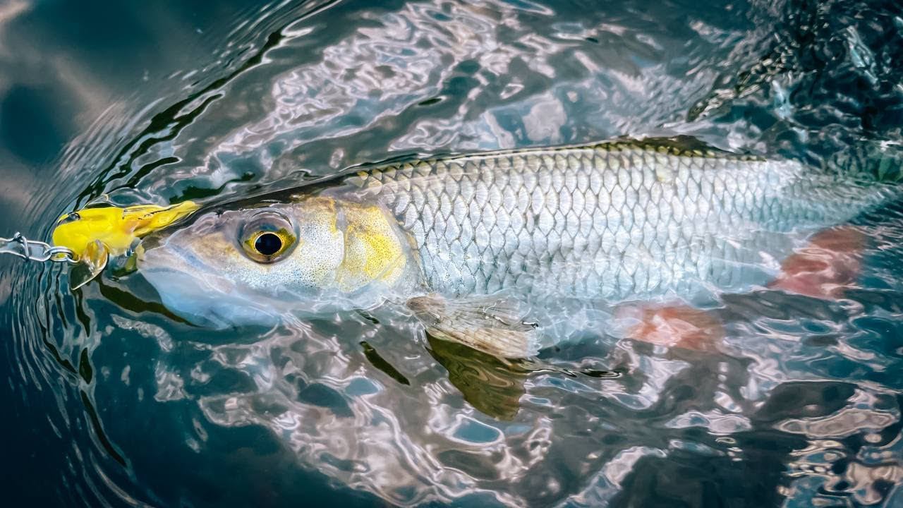 БРАКОНЬЕРЫ, КРЮЧОК в ПАЛЬЦЕ / РЫБАЛКА на ТОП ВОТЕРЫ / КАМБЭК В ЛЕТО №3 смотреть онлайн