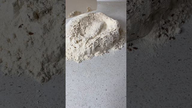 Льняные крекеры #выпечка #печенье #shorts