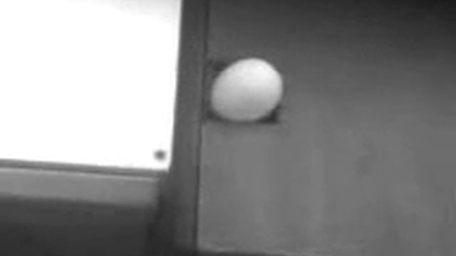 Крыса смотреть онлайн