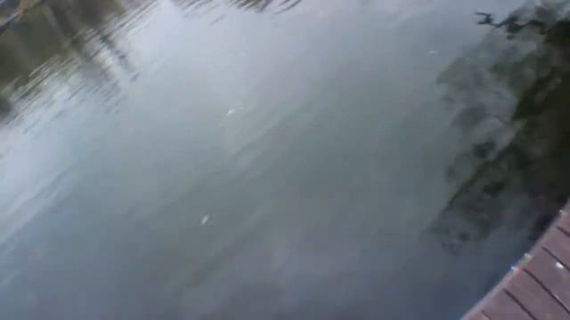 Форель и Molly смотреть онлайн