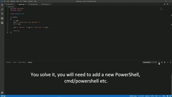 code runner console input error (vscode, c++)