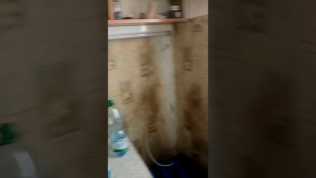 Средство от тараканов. смотреть онлайн