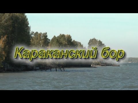 Караканский бор смотреть онлайн