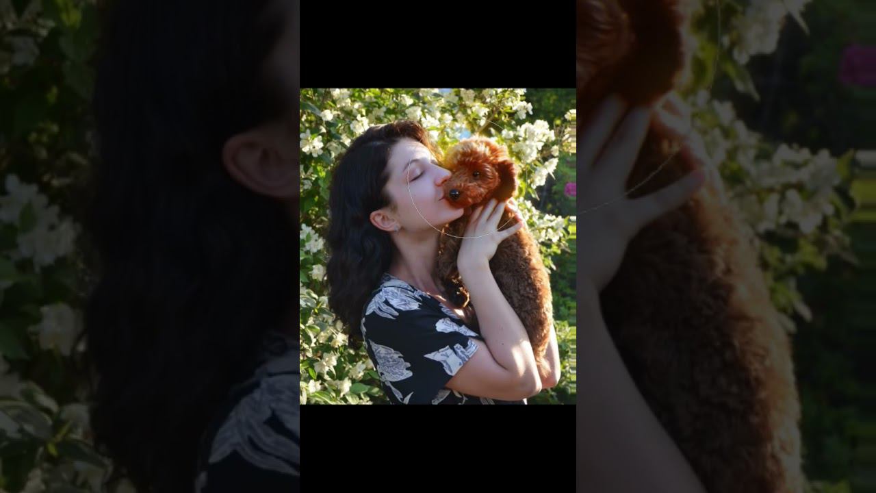 #photoshop #photoart смотреть онлайн