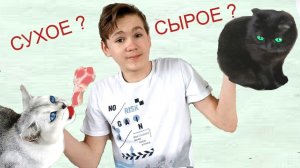 ЧЕЛЛЕНДЖ ДЛЯ КОШЕК! СУХОЕ, СЫРОЕ - ЕДА.