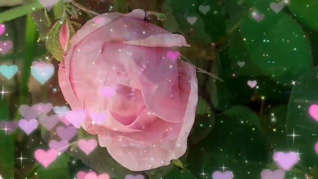 День Подснежника сегодня!Я желаю,чтоб цветок Подарил вам нежность в жизни,Будто лёгкий лепесток! смотреть онлайн