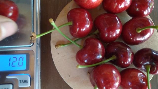 Черешня Крупноплодная. Обзор.