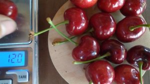 Черешня Крупноплодная. Обзор.