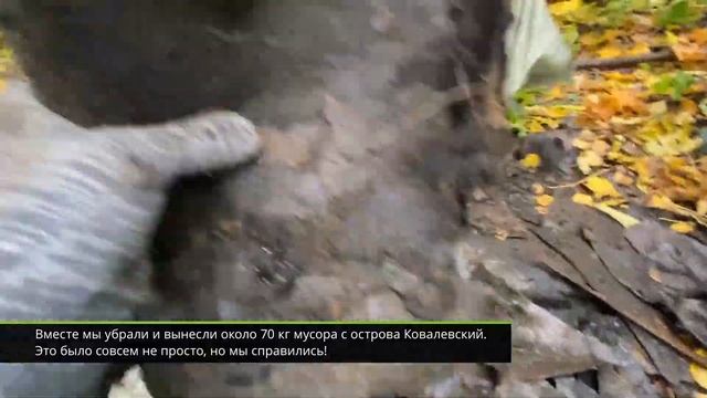 Экологическая миссия в Ельне. Команда ДРТ в Беларуси смотреть онлайн
