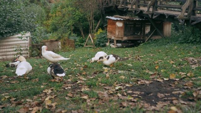Тётя Аня случайно изменила… смотреть онлайн