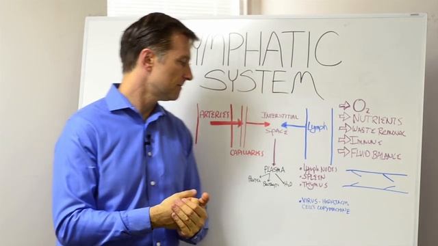 What is the Lymphatic System And How it Functions? – Dr. Berg смотреть онлайн