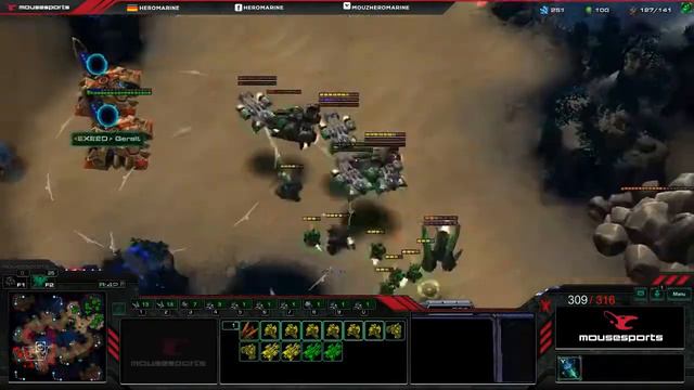 Daily Starcraft Highlights: Cute kittie is the cutest смотреть онлайн