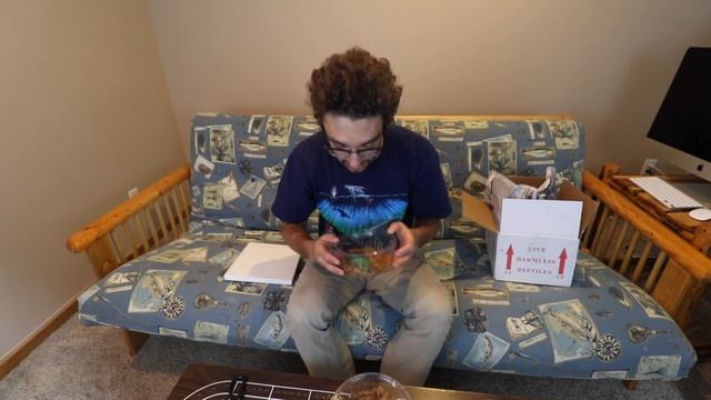 Unpacking Abronia graminea смотреть онлайн