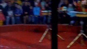 цирк ШАПИТО