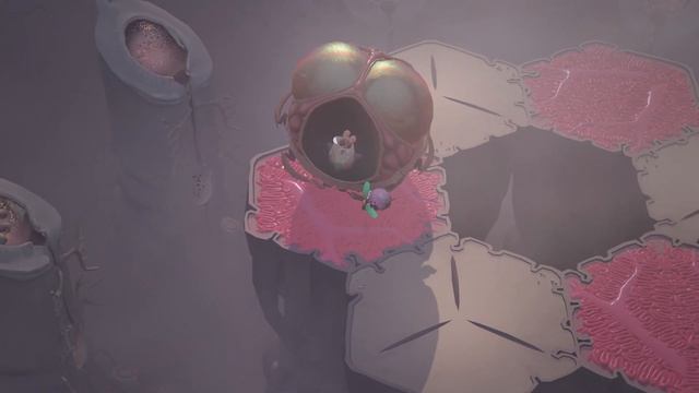 COCOON - Launch Trailer