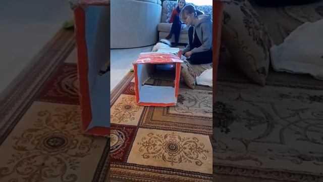 похоже, что нам пора покупать тоннель 😅 #папийон #папильон смотреть онлайн