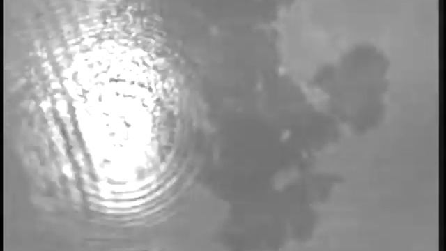 эму2.mpg смотреть онлайн