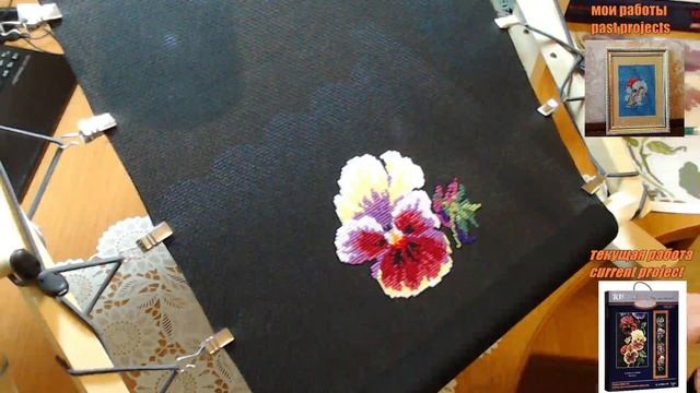 Прямая трансляция - RIOLIS Анютины глазки