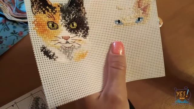 ТЭГ Вся правда обо мне