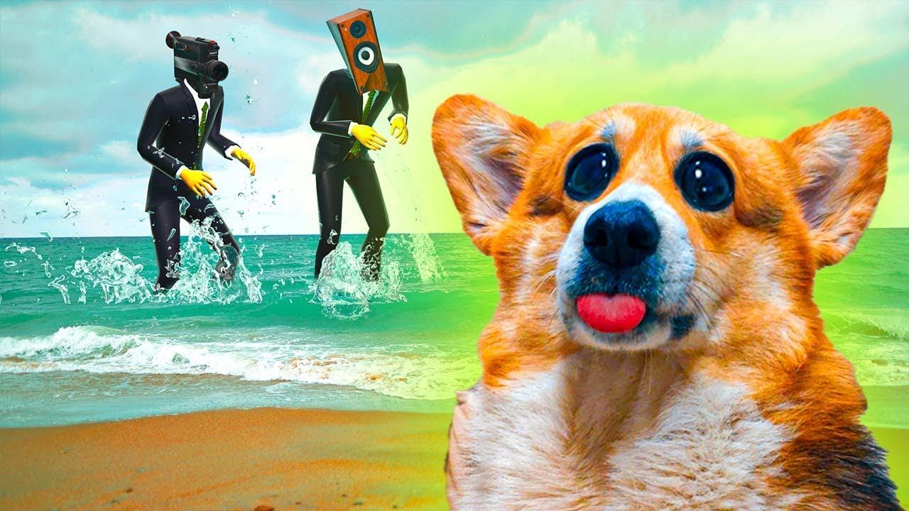 ТАКОЙ ПОЕЗДКИ НА МОРЕ У НАС ЕЩЕ НЕ БЫЛО!! (Корги Кекс) Говорящая собака смотреть онлайн