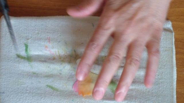 Мак махровый пионовидный.Часть3.Ольга Канунникова смотреть онлайн