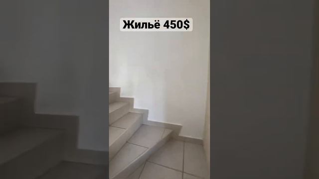 450$ жильё в Мексике ! Плая Дель Кармен Жизнь отдых Карибы обзор дома Квартиры смотреть онлайн