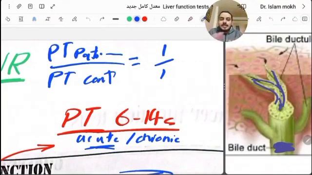 internal medicine - GIT , Liver 5 - Liver function tests and cholestasis смотреть онлайн