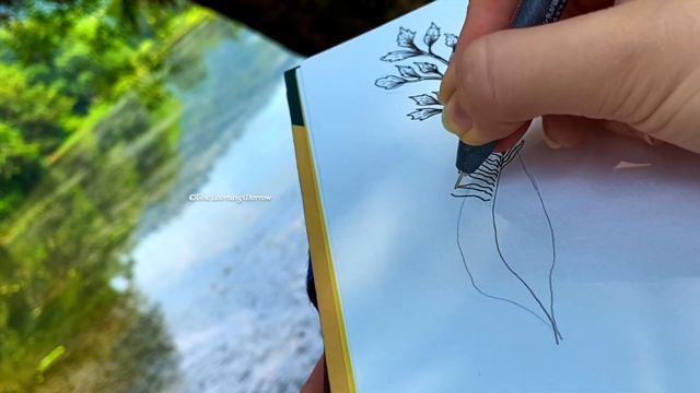 Drawing Leaves And Flowers | Easy Botanical Doodles | How To Draw Plants And Flowers | Botanical Ar