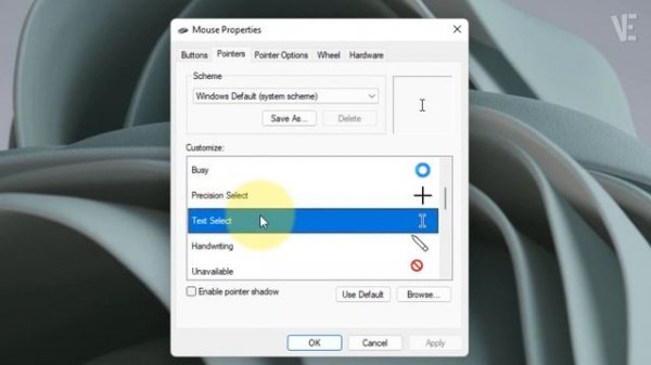 Fix Mouse Cursor Disappears inside (Document , Address Bar , Search Bar ) Not Showing Windows 11/10