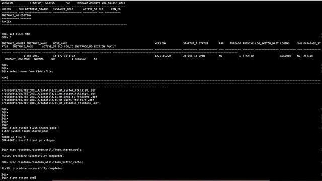 Oracle vs AWS RDS Commands смотреть онлайн