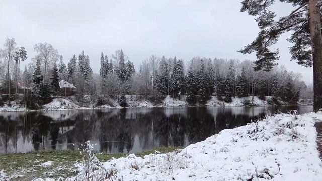 Сиверский, ноябрь.