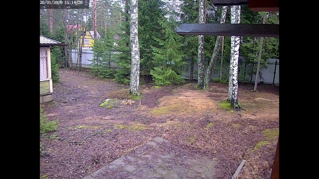 2 года из жизни дачи