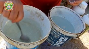 Вот те на! На рассаде баклажанов, помидоров, перца - вредители! Чем защитить растения?