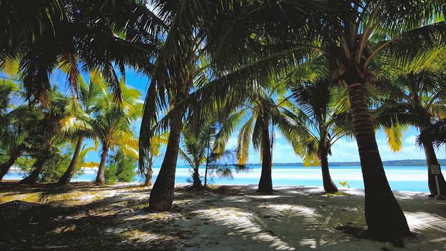Спокойная музыка для сна на тропическом острове.Relaxing music for sleeping on a tropical island. смотреть онлайн